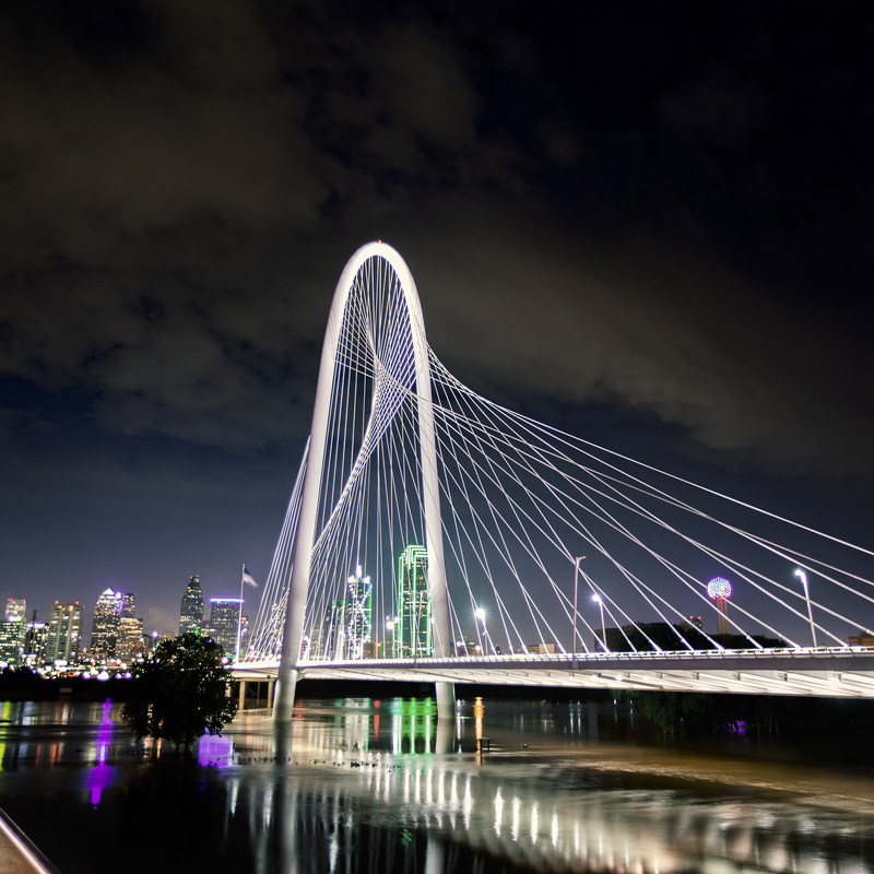 Dallas Nights