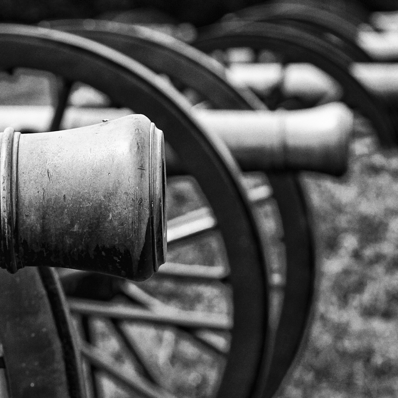 The Guns of Vicksburg