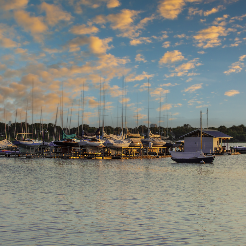 The Marina