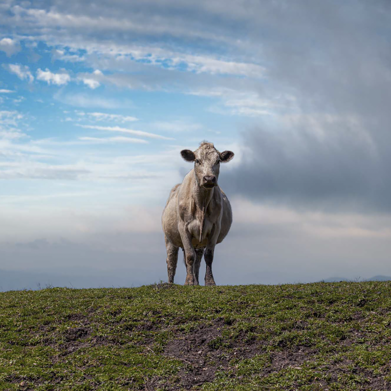 Keeping Watch